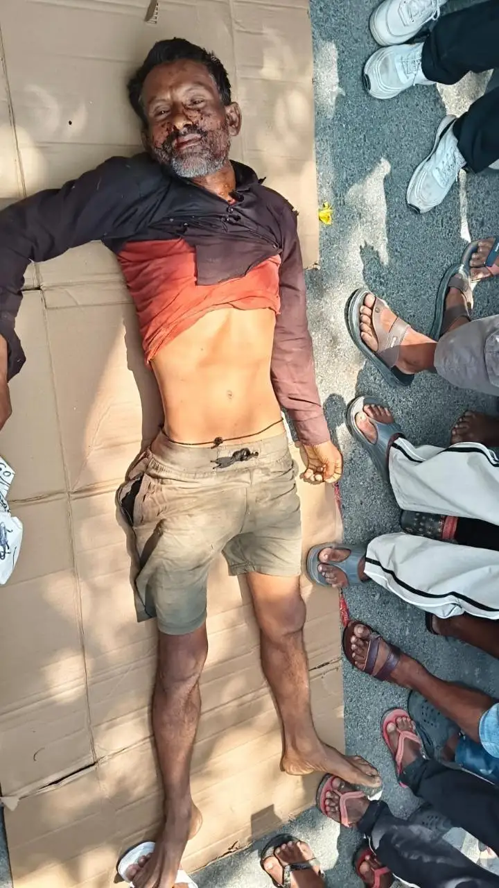 भेड़िहारी (वाल्मीकिनगर) में बाघ का जानलेवा हमला, बंगाली कॉलोनी के विजय हलदार की दर्दनाक मौत; हाईवे पर भारी चक्काजाम