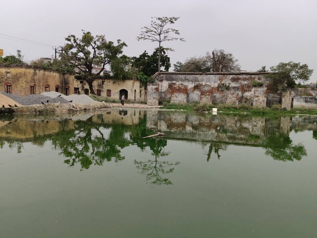 जलजमाव और गंदगी से बदतर हालात, नगर परिषद के दावों की खुली पोल