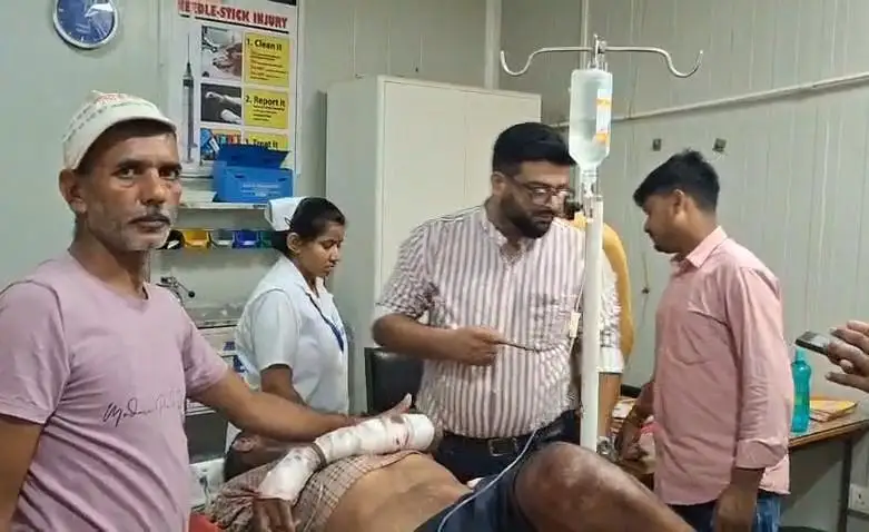 वाल्मीकि नगर में फिर दिखा बाघ का आतंक, खेत में बकरियां चरा रहे बुजुर्ग पर हमला, हालत गंभीर