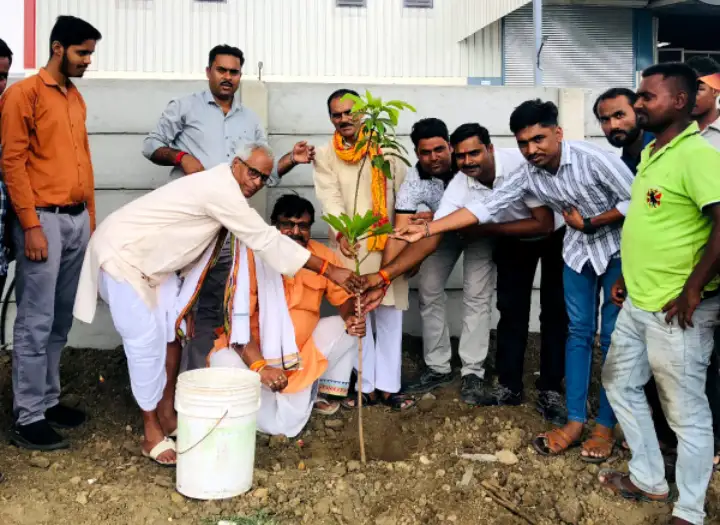 News image
