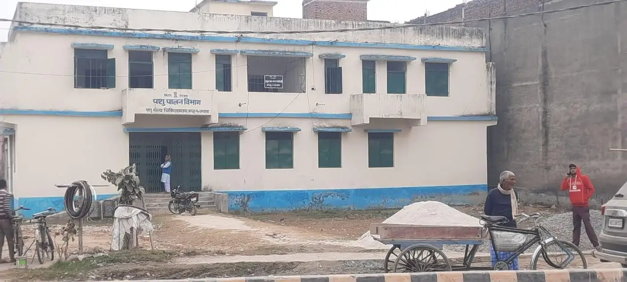 पशु अस्पताल