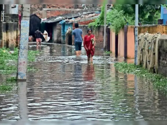 रामनगर नगर परिषद के वार्ड संख्या-8 में जलजमाव से लोग परेशान