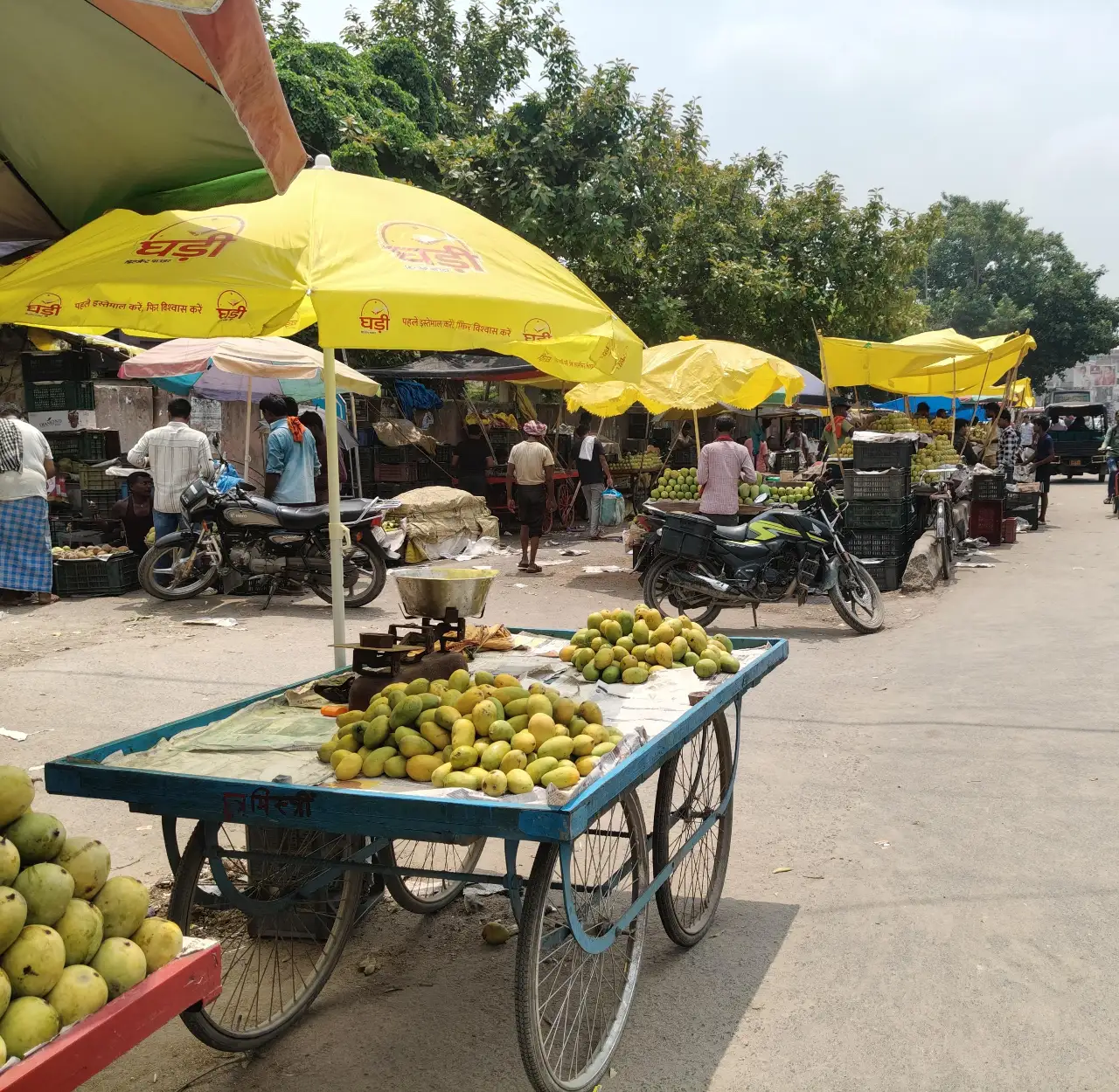 नगर परिषद का अभियान तेज, अतिक्रमणकारियों की बढ़ी चिंता