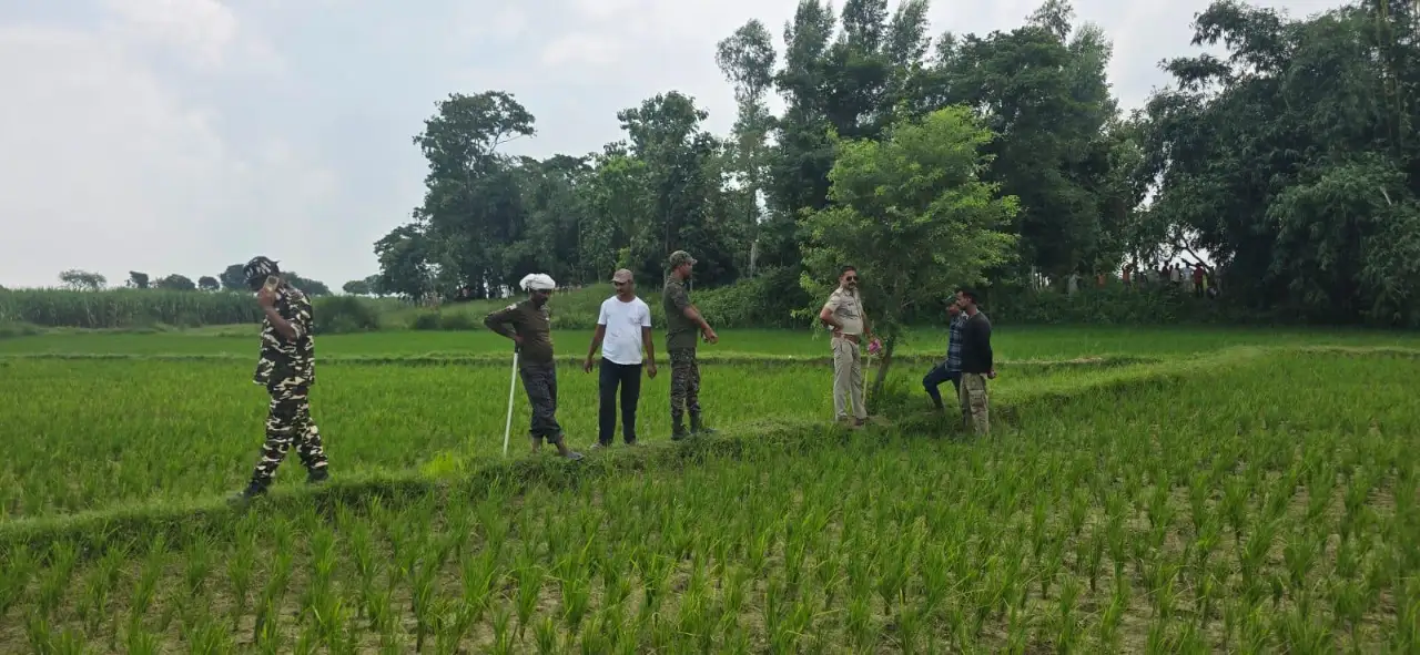 मैनाटांड़ में आबादी के पास दिखा विशाल गैंडा, गन्ने के खेत में छिपा; ड्रोन से तलाश शुरू