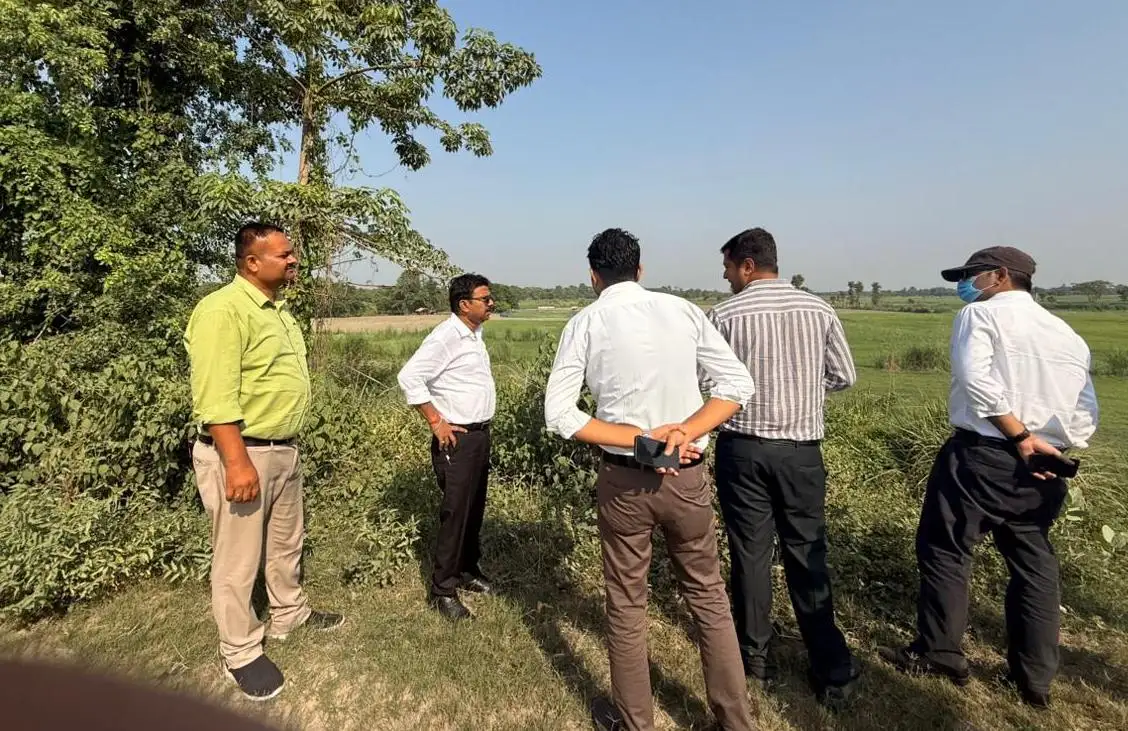 News image