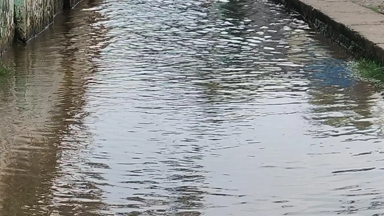 पहली ही बारिश में डूबी सड़कें, नगर परिषद की तैयारियों पर उठे सवाल