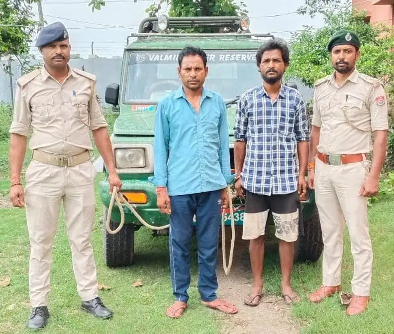 जंगल में चल रही थी अवैध कटाई, वन विभाग की दबिश में दो आरोपी गिरफ्तार