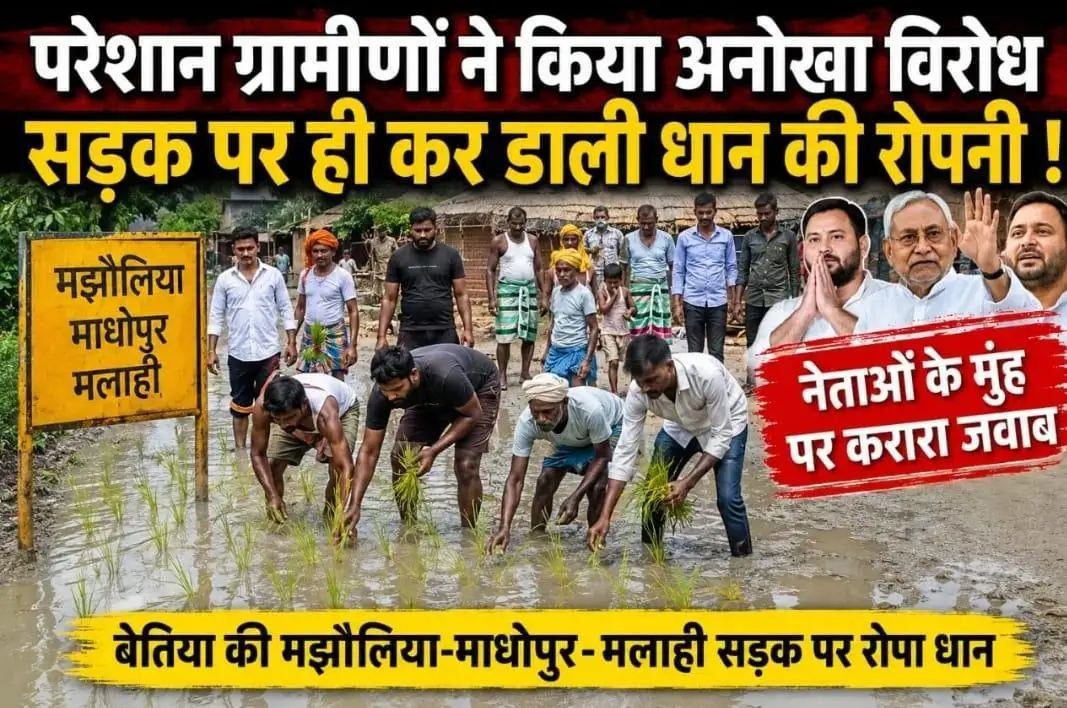मलाही टोला माधोपुर में पक्की सड़क पर जलजमाव से बढ़ी परेशानी, ग्रामीणों ने धान की रोपनी कर दी