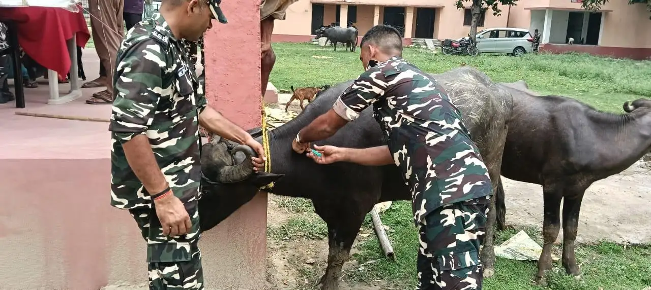 मानव हो या पशु, हर जरूरतमंद तक पहुंची एसएसबी की स्वास्थ्य सेवा