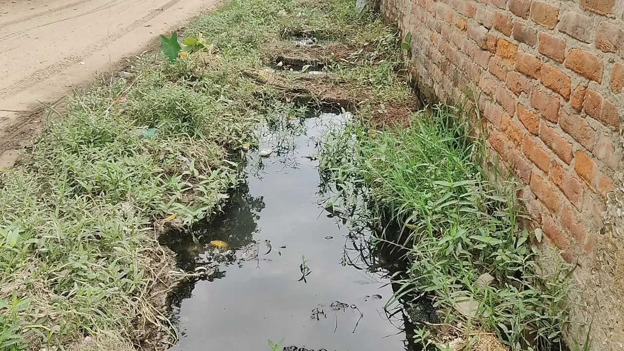 जलजमाव से बदहाल सड़क, जिम्मेदारों के आश्वासन के बावजूद नहीं मिला समाधान