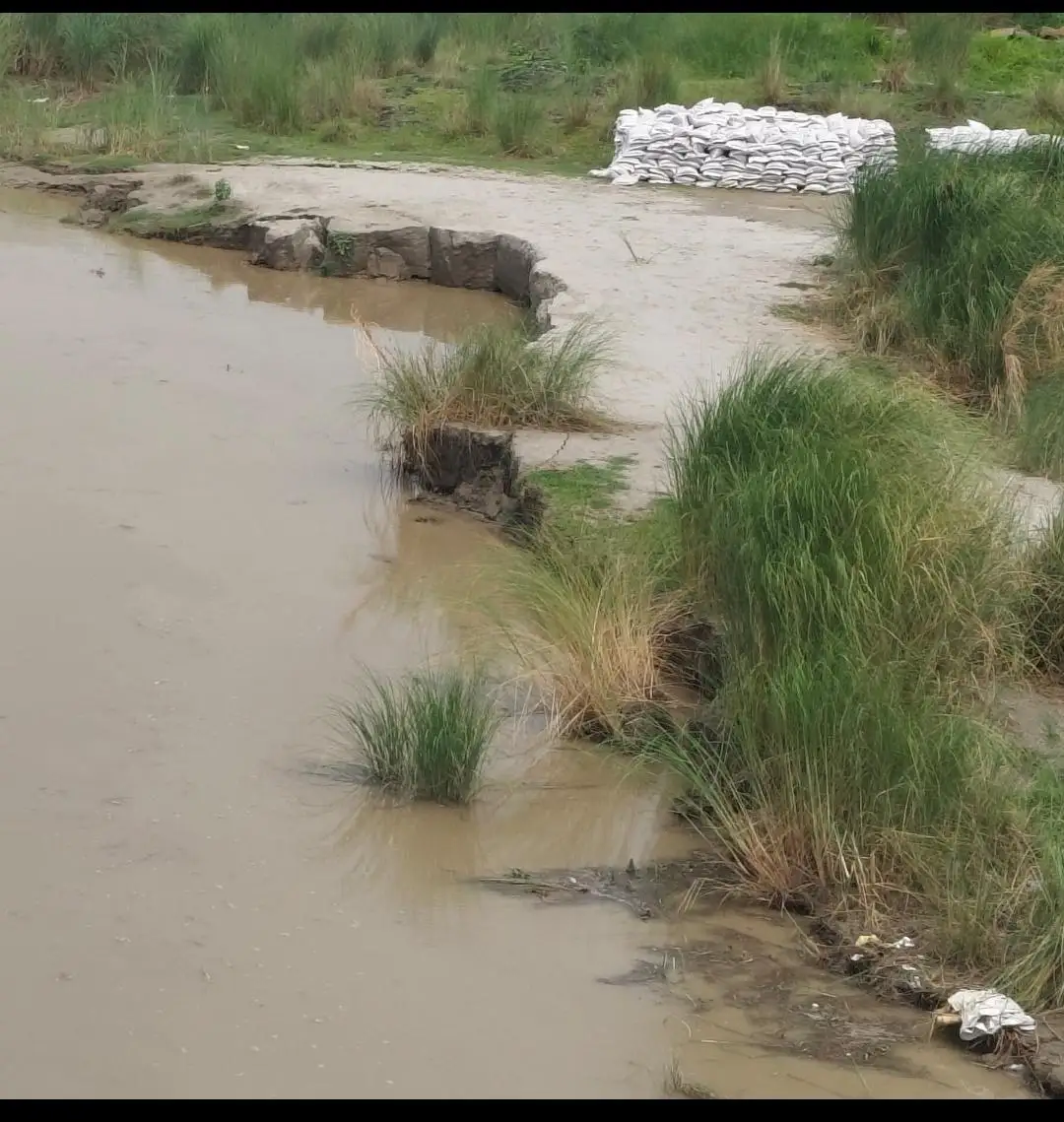 गंडक नदी के जलस्तर बढ़ने से गौतम बुद्ध सेतु एक नंबर पिलर के नीचले हिस्से में नदी की कटाव तेजस्थानीय लोगों में बड़ी चिंता.